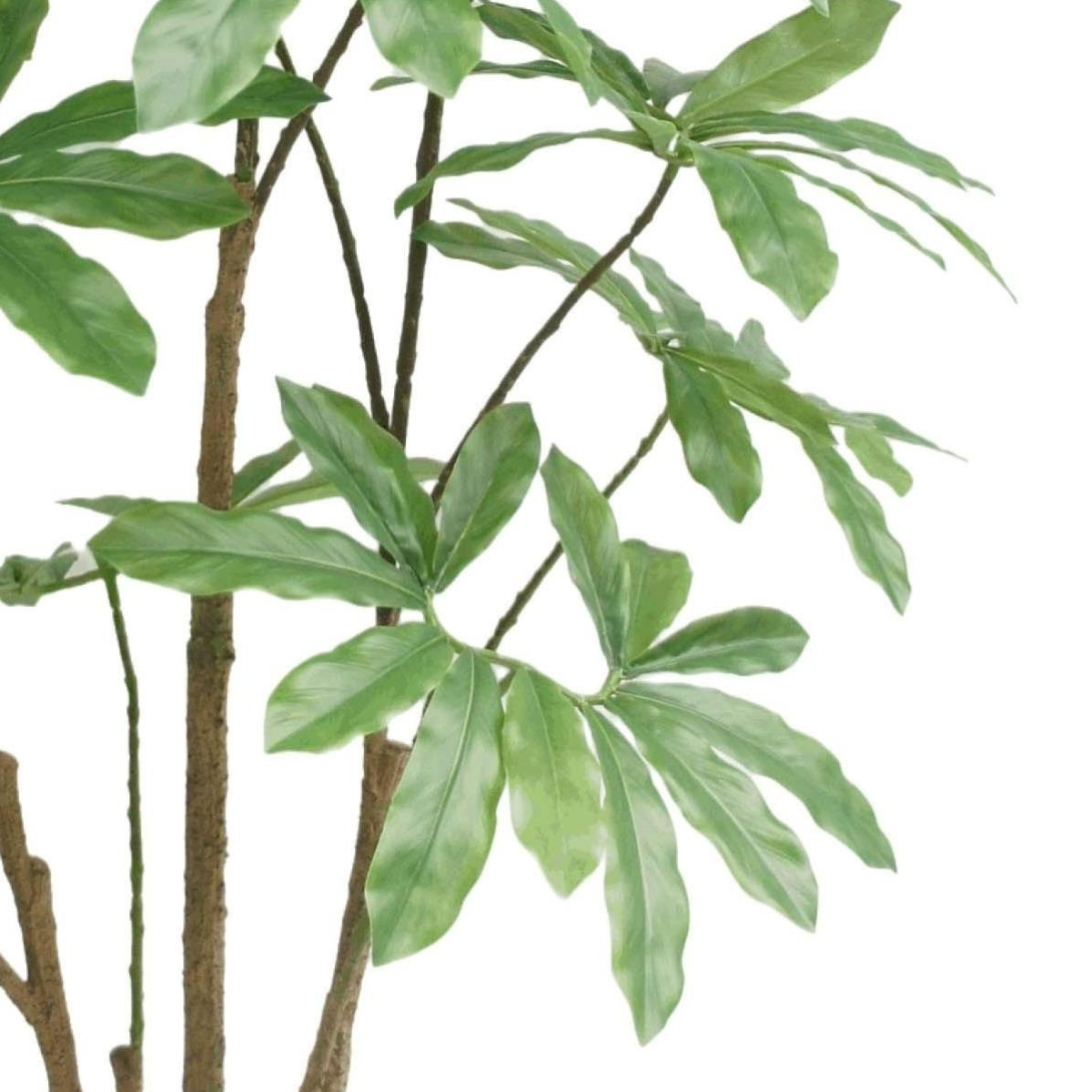 150cm Realistic Dwarf Umbrella Tree - Lifelike Indoor Décor, Maintenance-Free