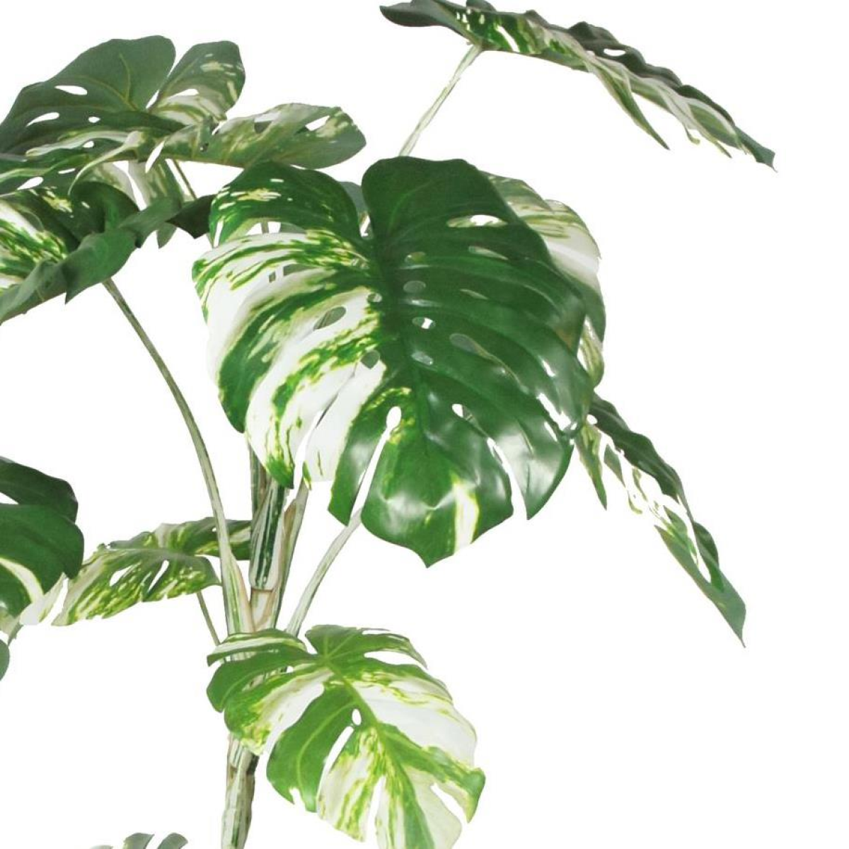 Stunning 210cm Variegated Monstera Faux Tree – Lifelike & Low-Maintenance!