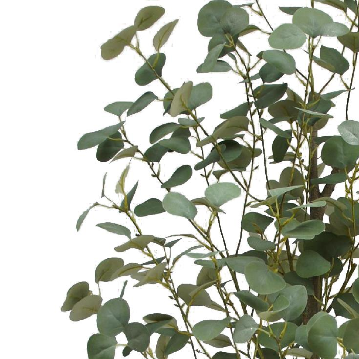 Stunning 180cm Realistic Eucalyptus Artificial Tree - Effortless Elegance!