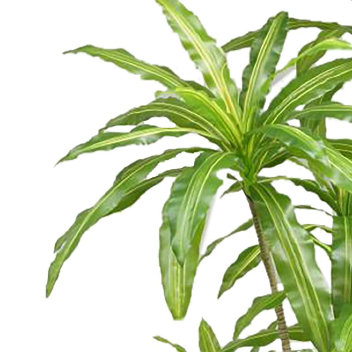 180cm Lifelike Striped Dracaena: Effortless Greenery for Any Space!