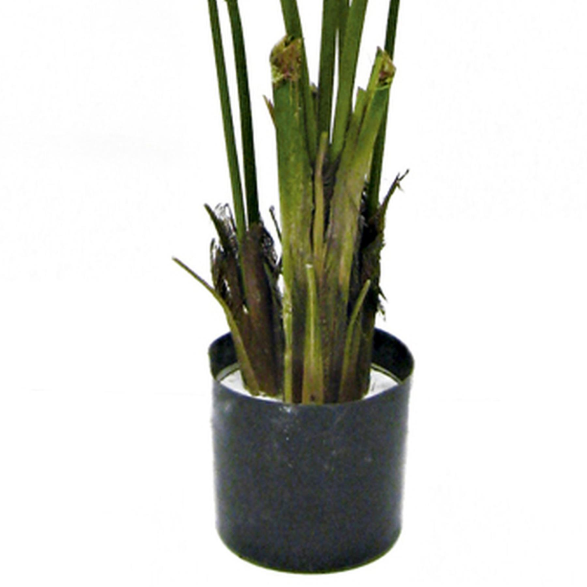 150cm Lifelike Kentia Palm Tree - Effortless Tropical Elegance for Any Space!