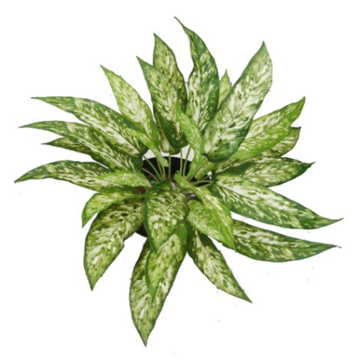 Vibrant 45cm Fire Retardant Artificial Aglaonema Bush - Maintenance-Free Greenery!