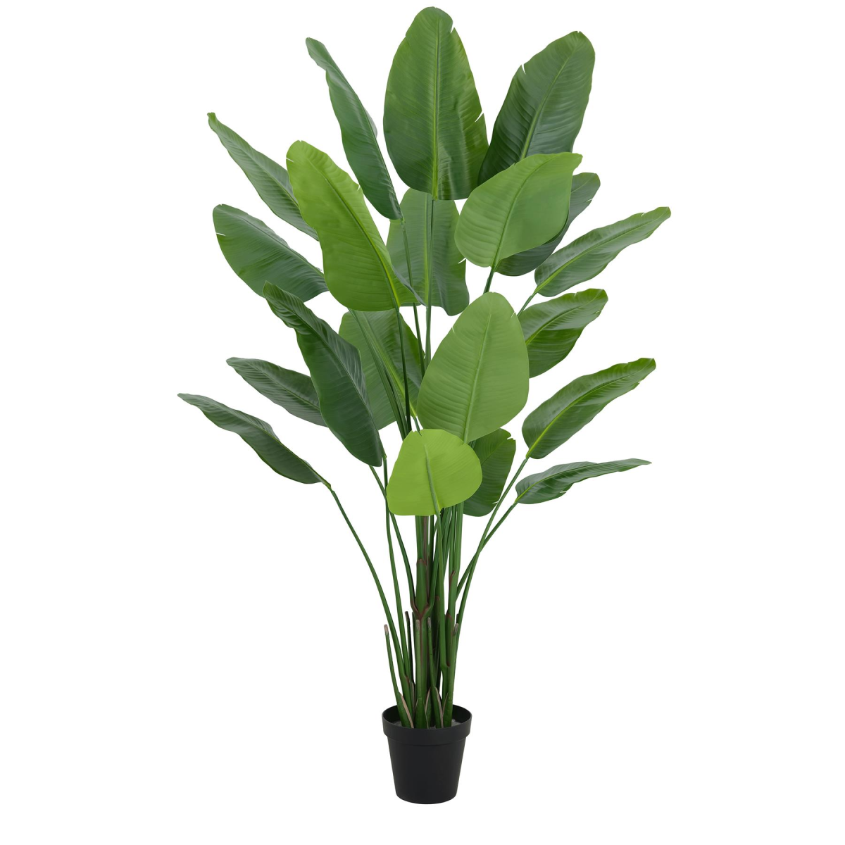 200cm Lifelike Traveller Palm Tree - Bold Tropical Décor for Any Space