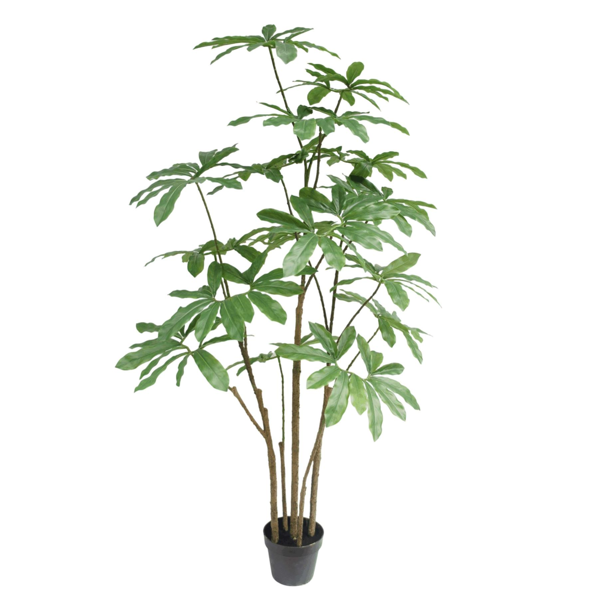 150cm Realistic Dwarf Umbrella Tree - Lifelike Indoor Décor, Maintenance-Free