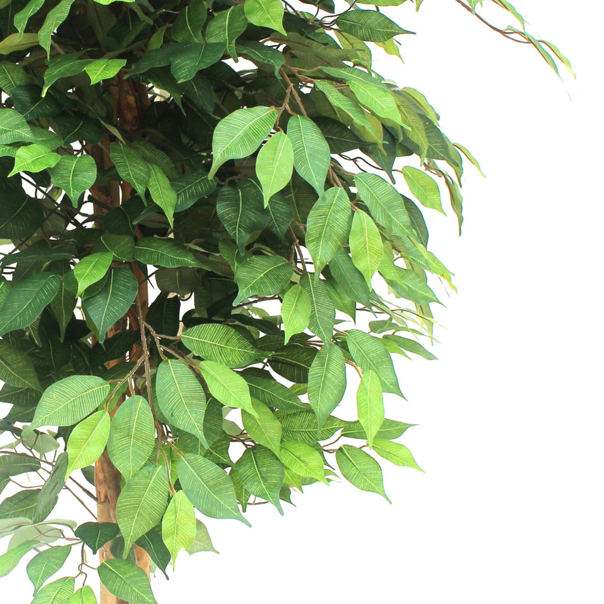 Vibrant 150cm Artificial Ficus Tree - Effortless Elegance for Any Space!