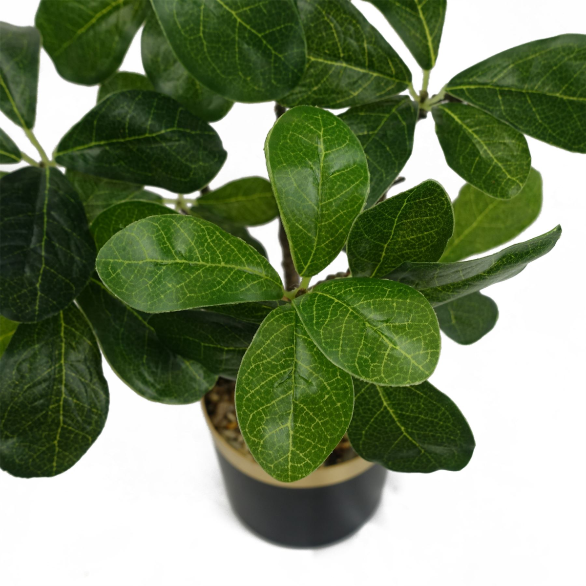 Realistic 60cm Artificial Ficus Bonsai Tree - Elegance Meets Low-Maintenance!