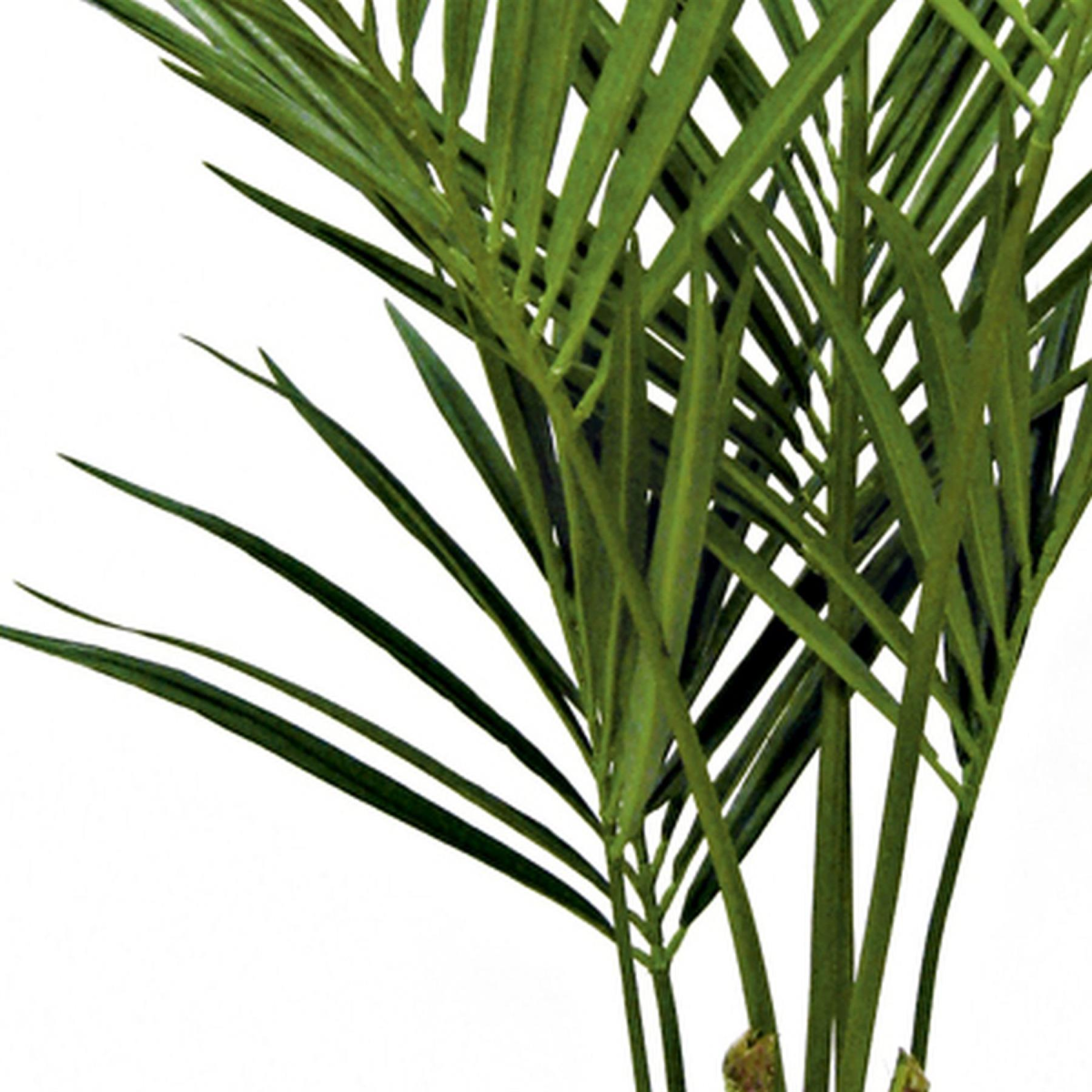 150cm Lifelike Kentia Palm Tree - Effortless Tropical Elegance for Any Space!