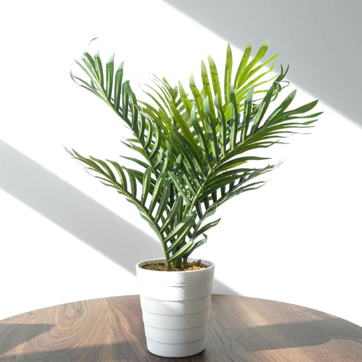 Trendy 50cm Faux Mini Palm - Effortless Greenery for Any Space!