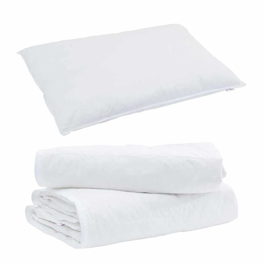 2-in-1 Duvet with Pillow 2 pcs White Down Feather