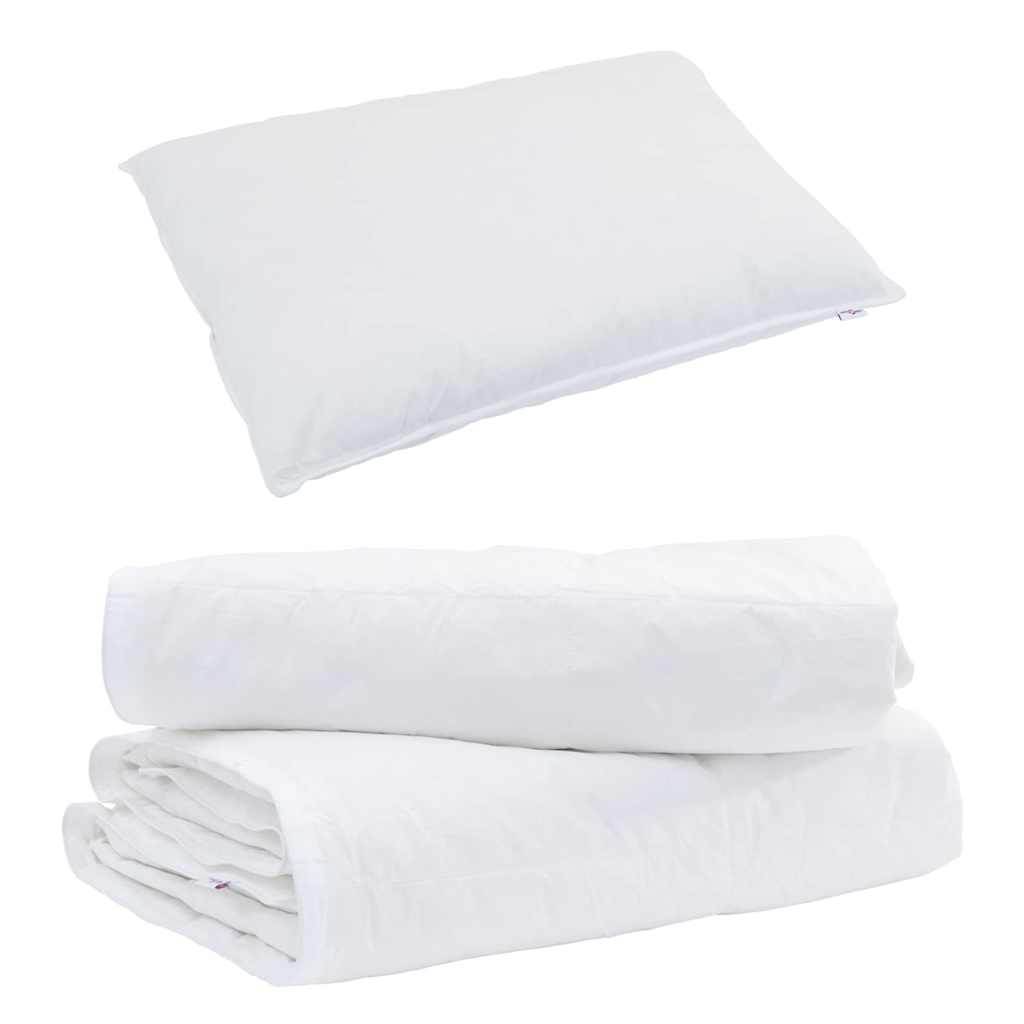 2-in-1 Duvet with Pillow 2 pcs White Down Feather