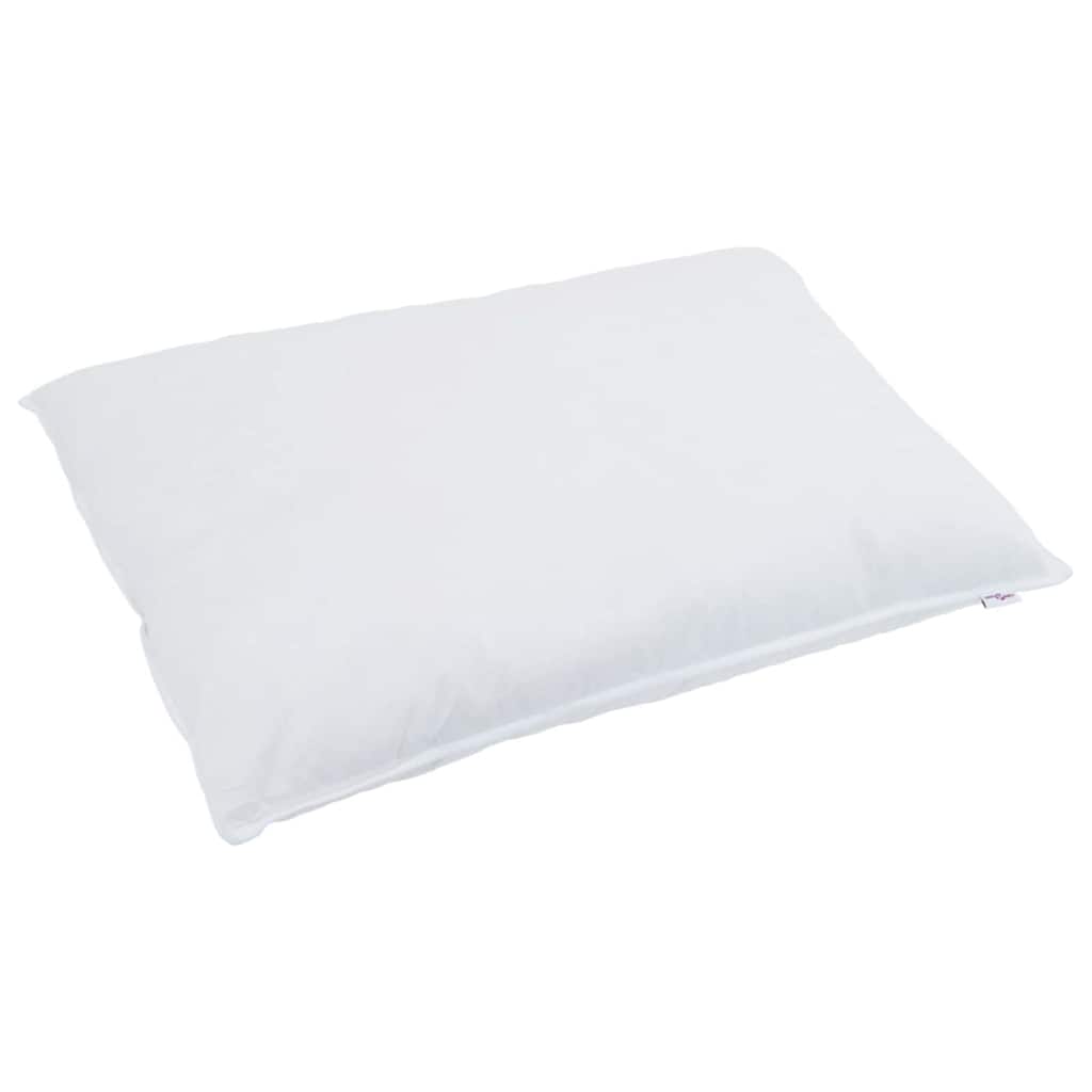 2-in-1 Duvet with Pillow 2 pcs White Down Feather