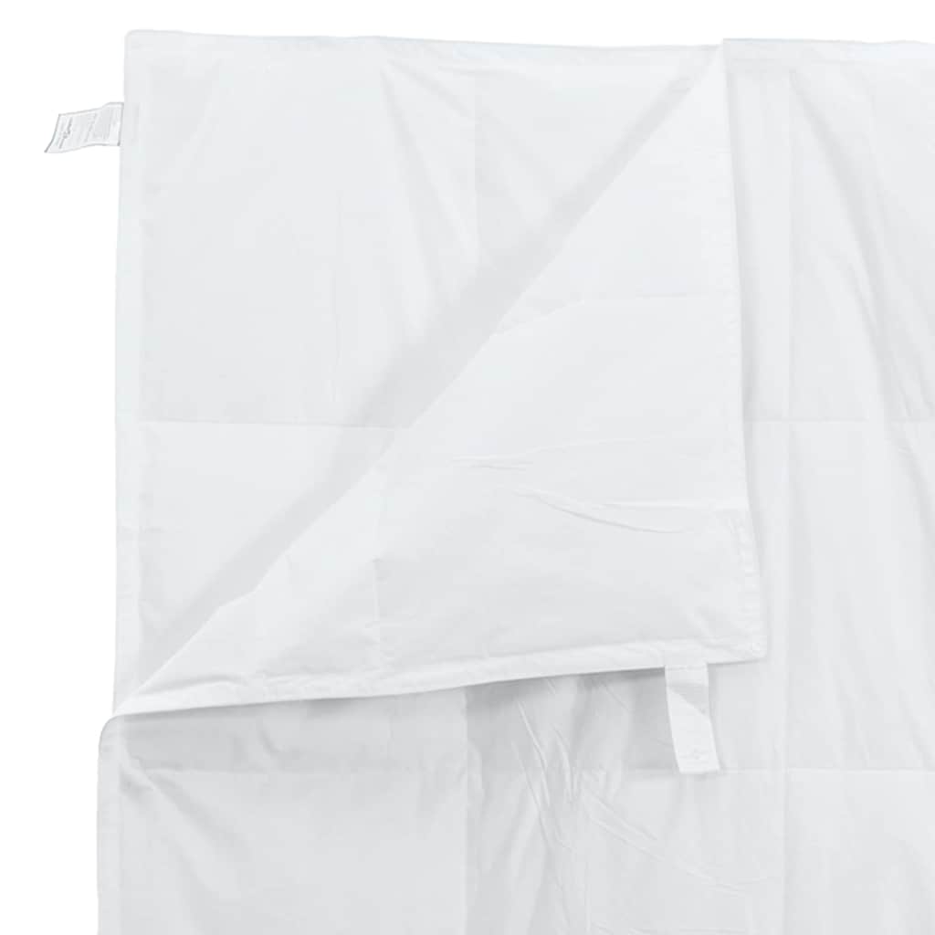 2-in-1 Duvet with Pillow 2 pcs White Down Feather