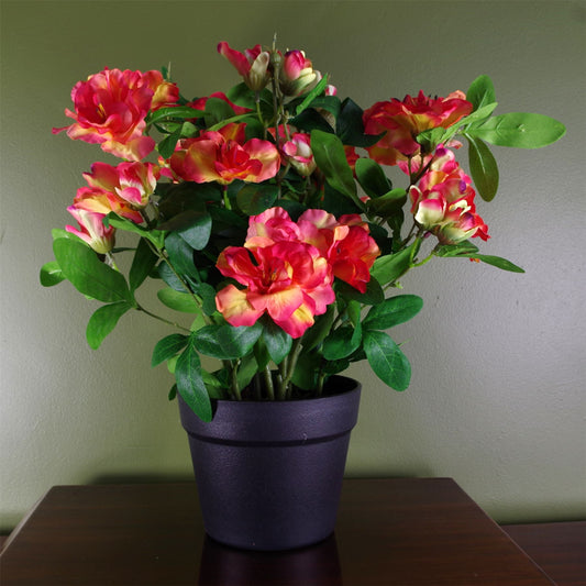 Vibrant Orange Rhododendron: Lifelike Artificial Potted Plant for Cozy Spaces