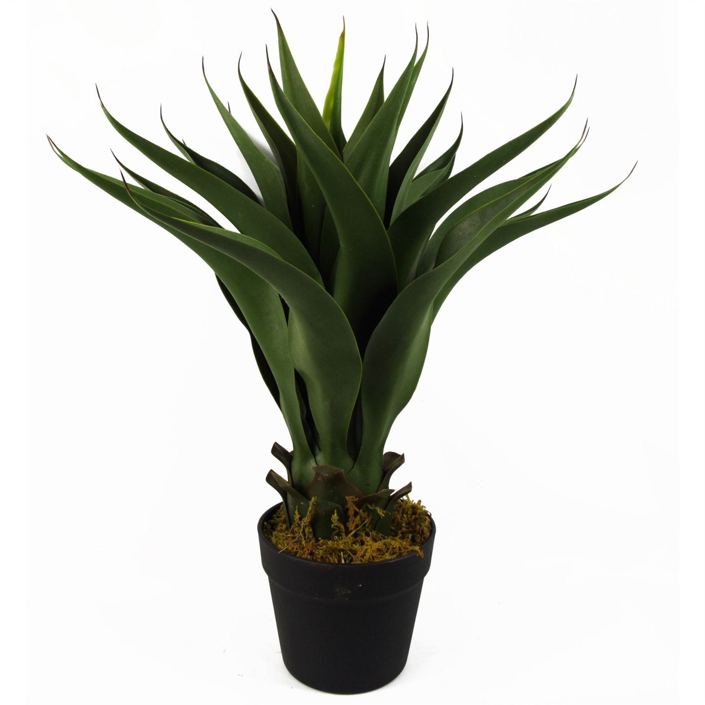 Stunning 55cm Realistic Artificial Yucca Plant – Perfect for Home Décor!