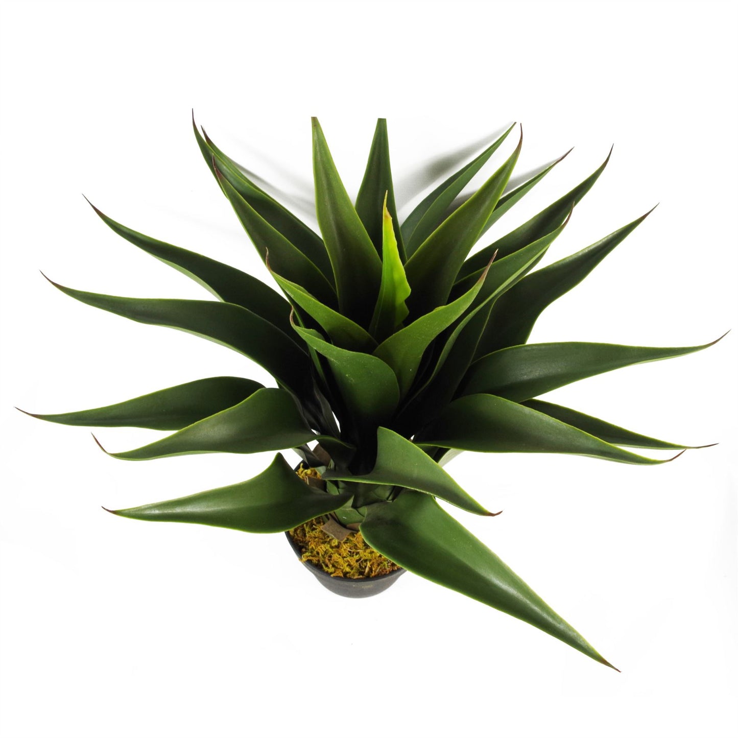 Stunning 55cm Realistic Artificial Yucca Plant – Perfect for Home Décor!