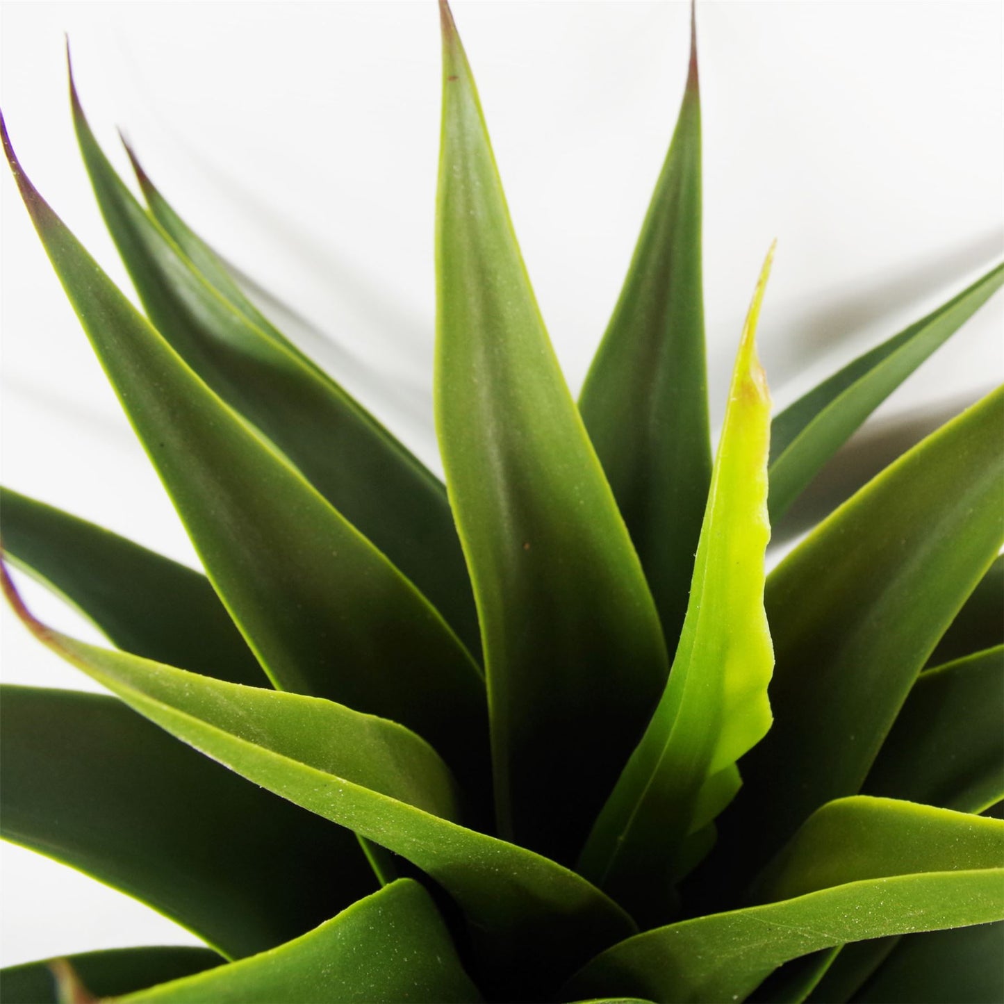 Stunning 55cm Realistic Artificial Yucca Plant – Perfect for Home Décor!