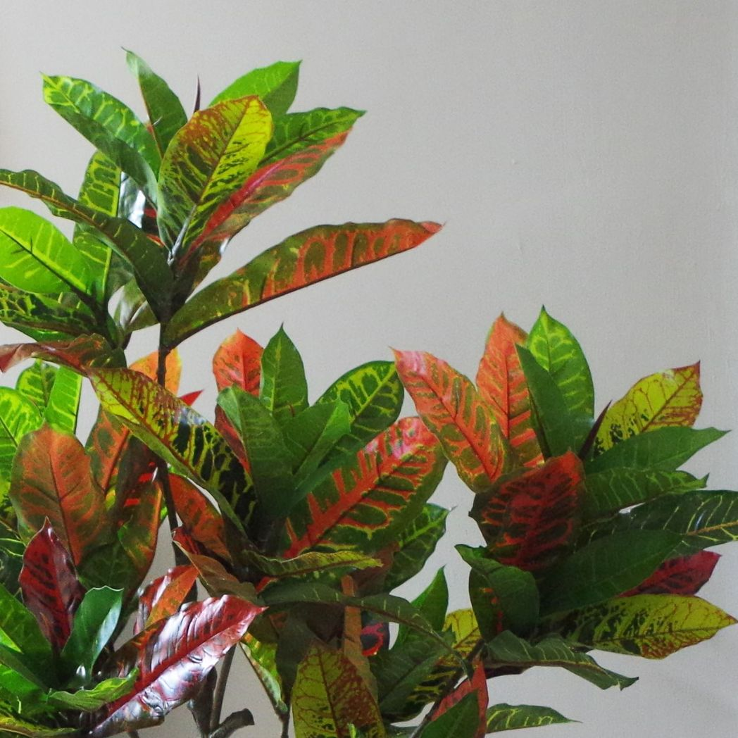 Stunning 130cm Realistic Artificial Codiaeum Tree - Low-Maintenance Elegance!