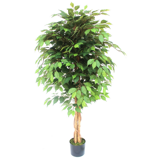 Vibrant 150cm Artificial Ficus Tree - Effortless Elegance for Any Space!