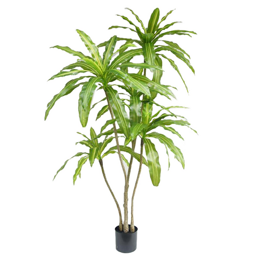 180cm Lifelike Striped Dracaena: Effortless Greenery for Any Space!