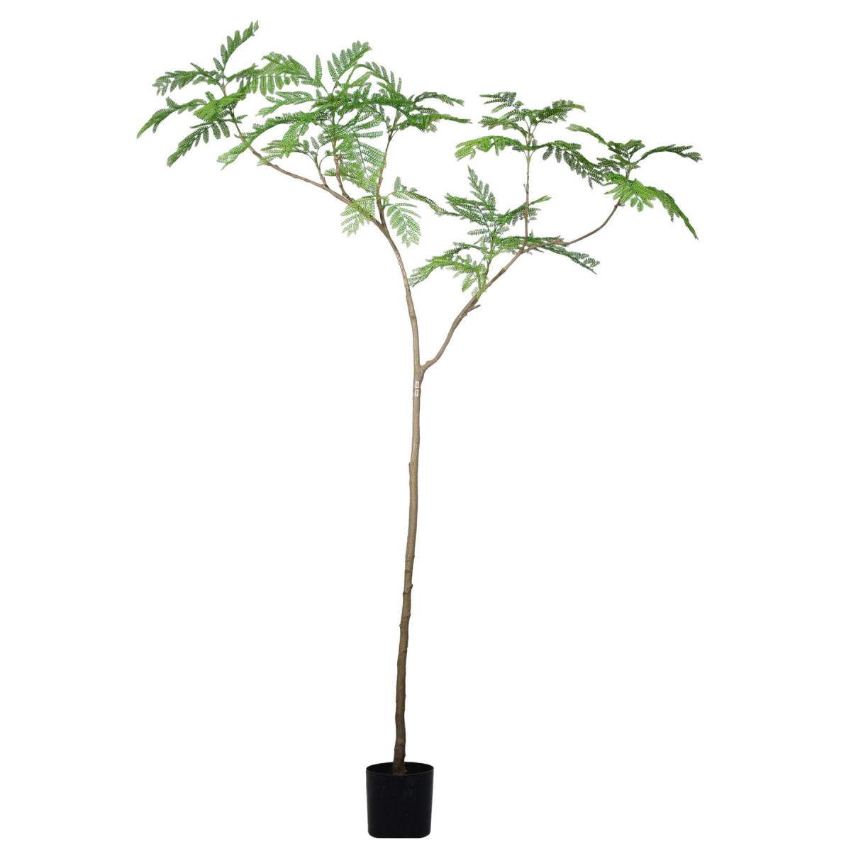 Stunning 240cm Artificial Jacaranda Tree - Lush, Lifesize Botanical Elegance