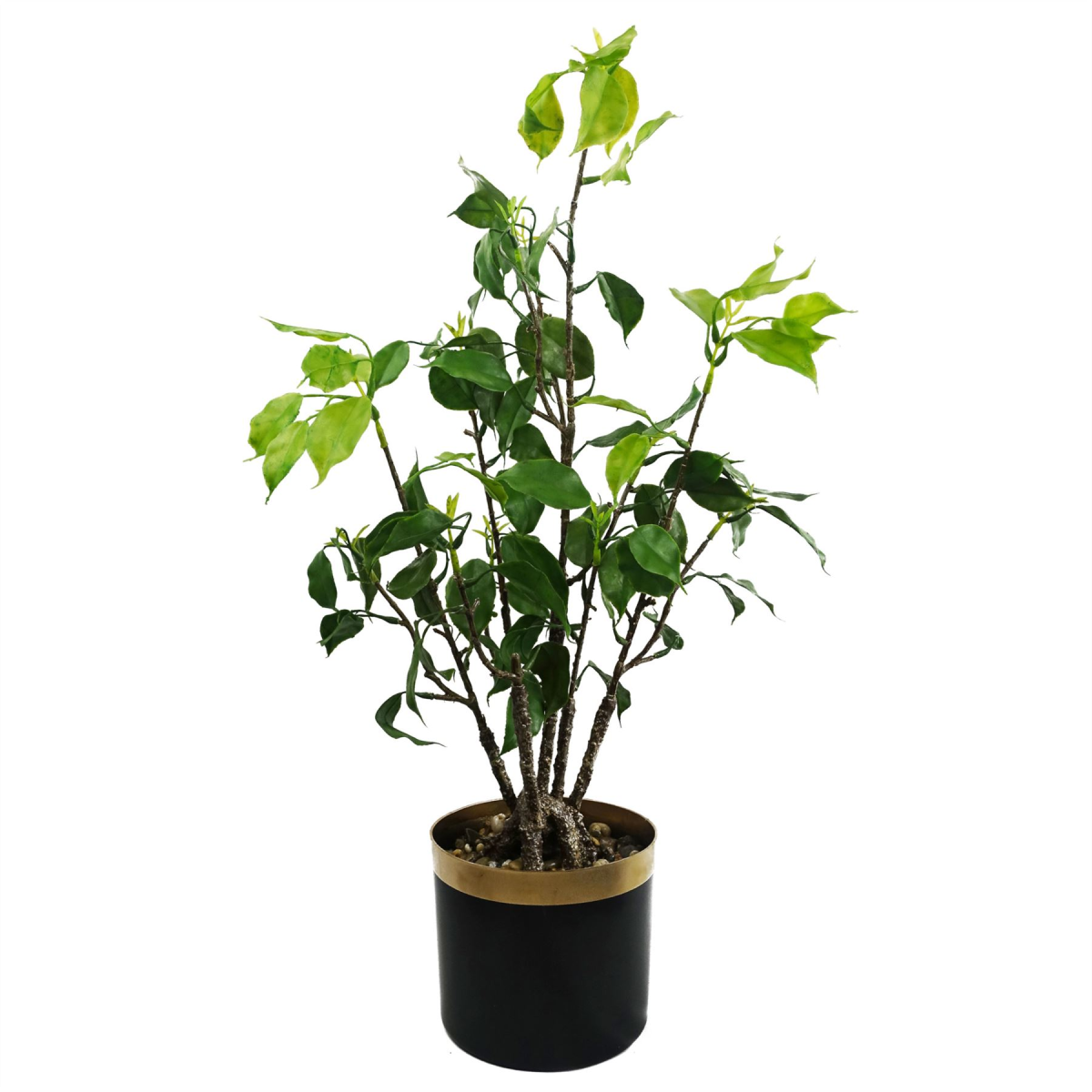 Stunning 60cm Lifelike Bonsai Ficus Tree - Elegant Indoor Decor!