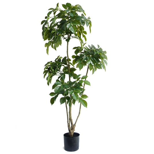 150cm Lush Radermachera Artificial Tree - Effortless Greenery for Any Space!