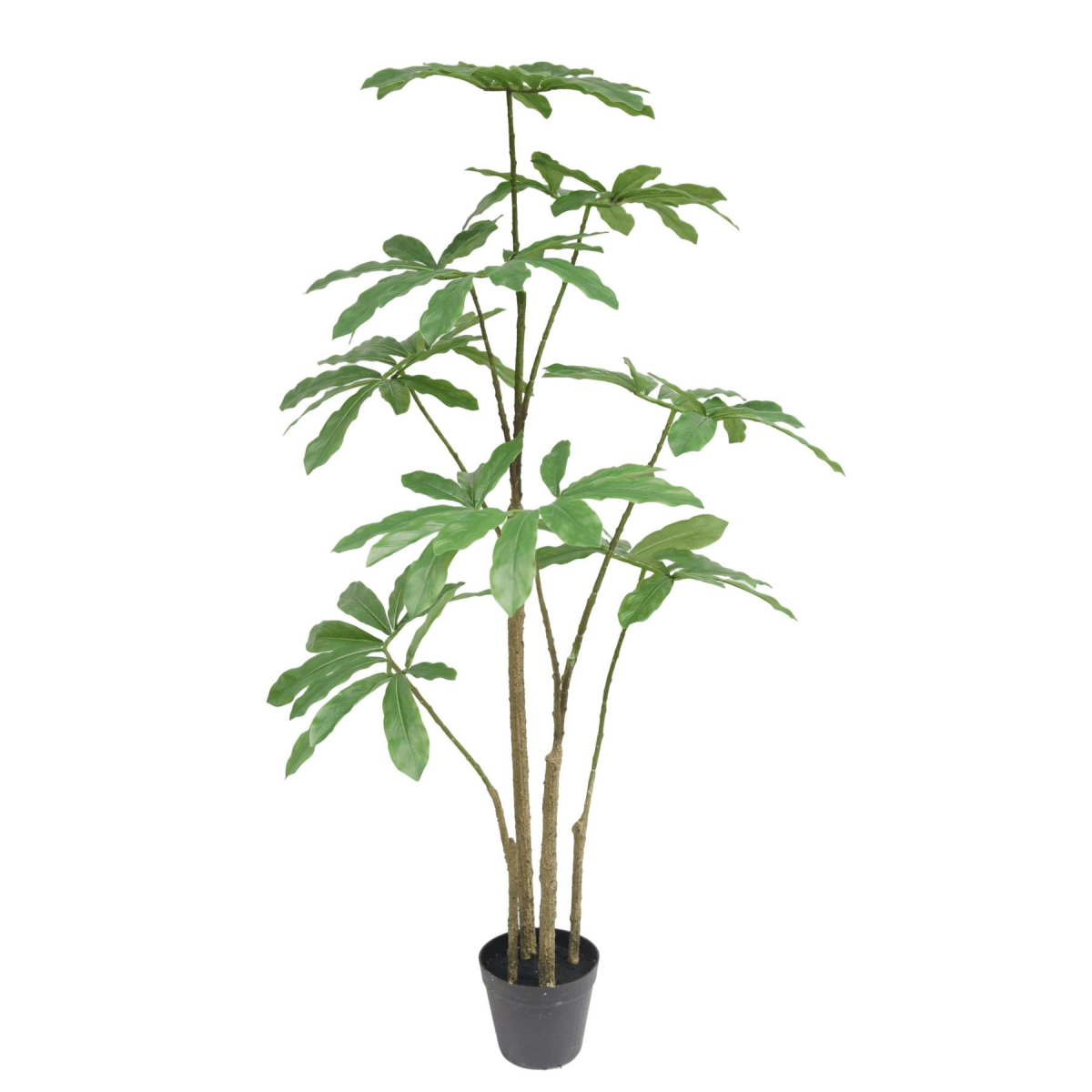 Vibrant 120cm Dwarf Umbrella Tree - Lifelike Greenery for Any Space!