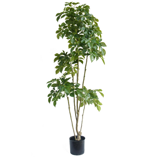 180cm Realistic Radermachera Tree - Lush, Maintenance-Free Indoor Décor