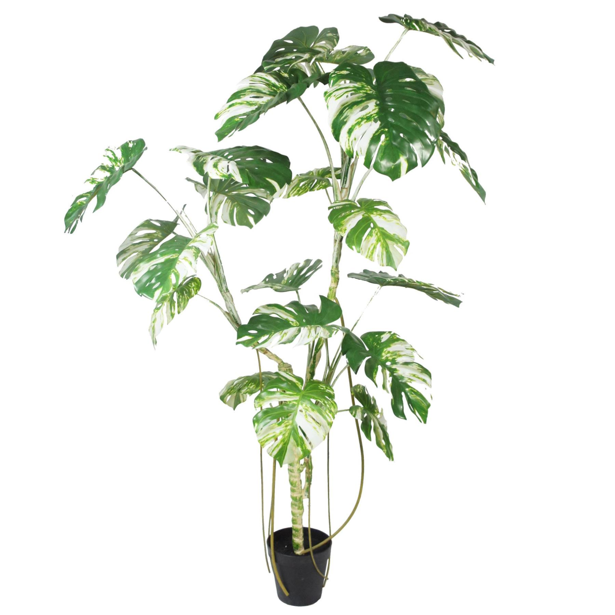 Stunning 210cm Variegated Monstera Faux Tree – Lifelike & Low-Maintenance!