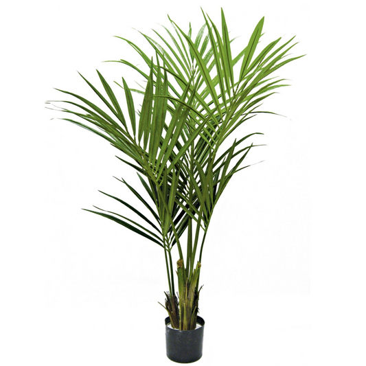 150cm Lifelike Kentia Palm Tree - Effortless Tropical Elegance for Any Space!